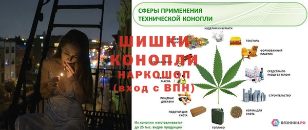 молекула духа Бородино
