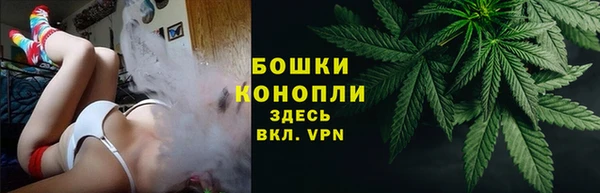 молекула духа Бородино