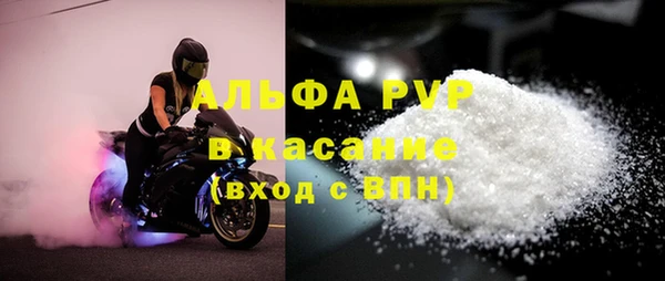 молекула духа Бородино