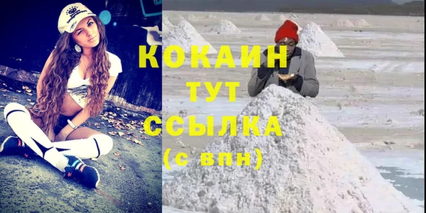 молекула духа Бородино