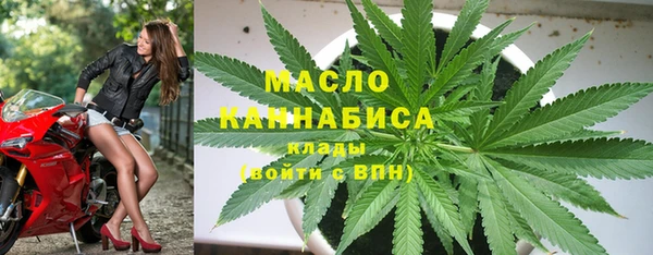 молекула духа Бородино